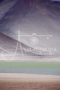 Salar de Talar, Atacama Desert, Chile