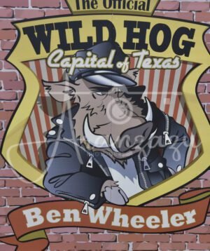 Ben Wheeler, Texas