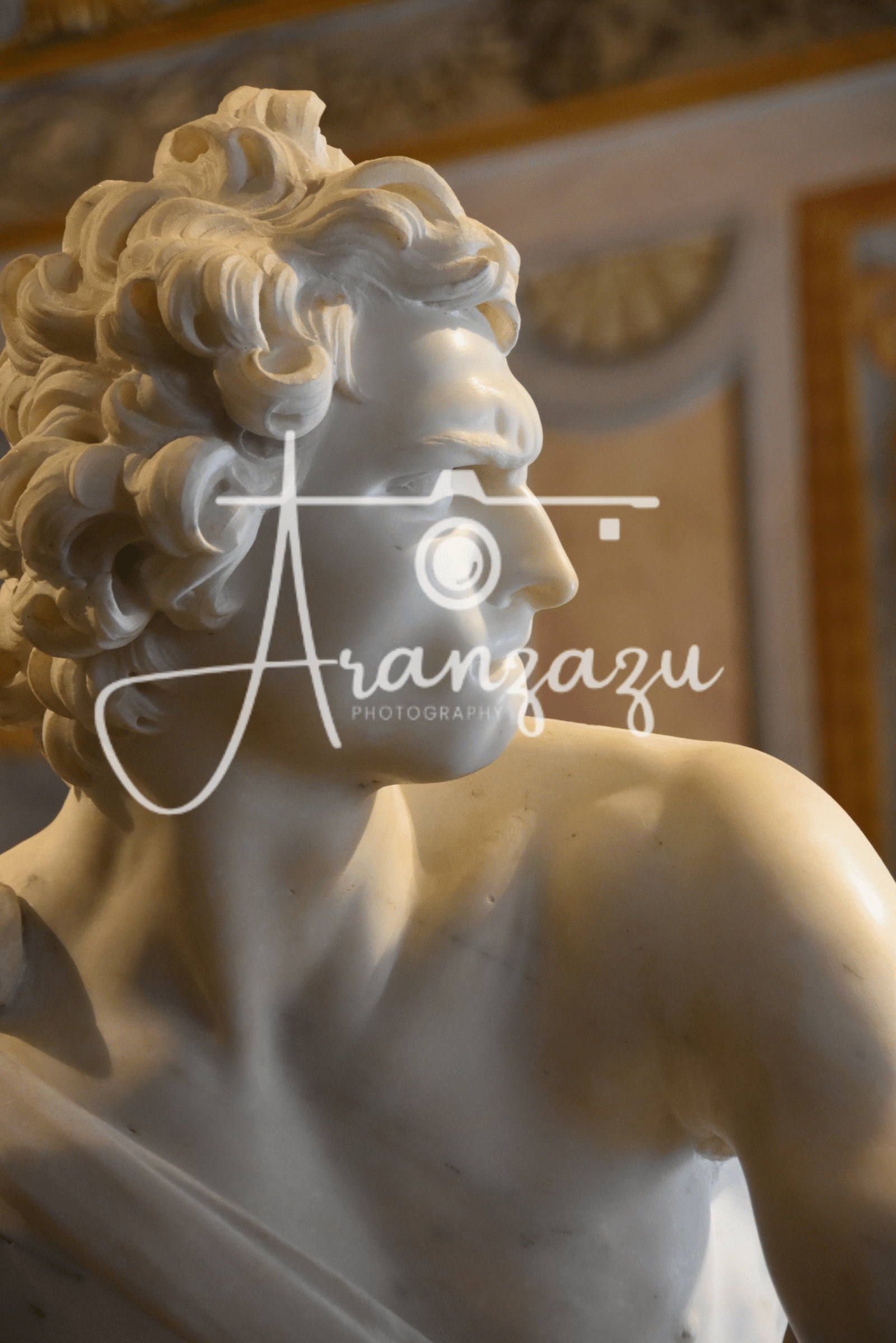 David by Bernini , Galleria Borghese, Rome, Italy