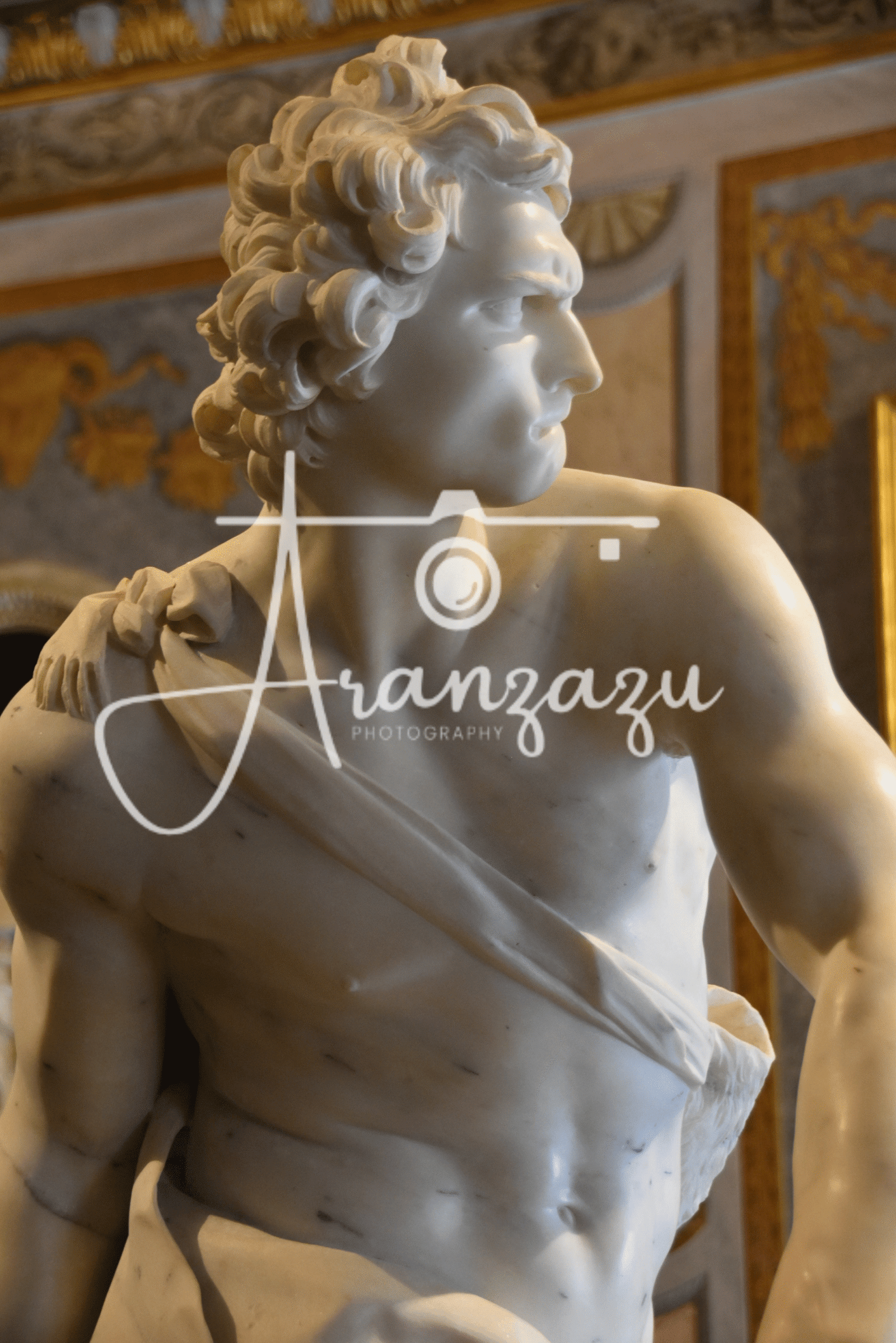 David by Bernini , Galleria Borghese, Rome, Italy